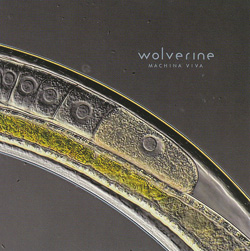 WOLVERINE – Machina Viva (Sensory/The Laser’s Edge)